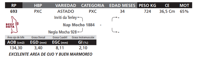 Lote LOTE 29