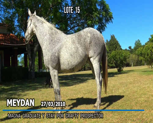 Lote MEYDAN