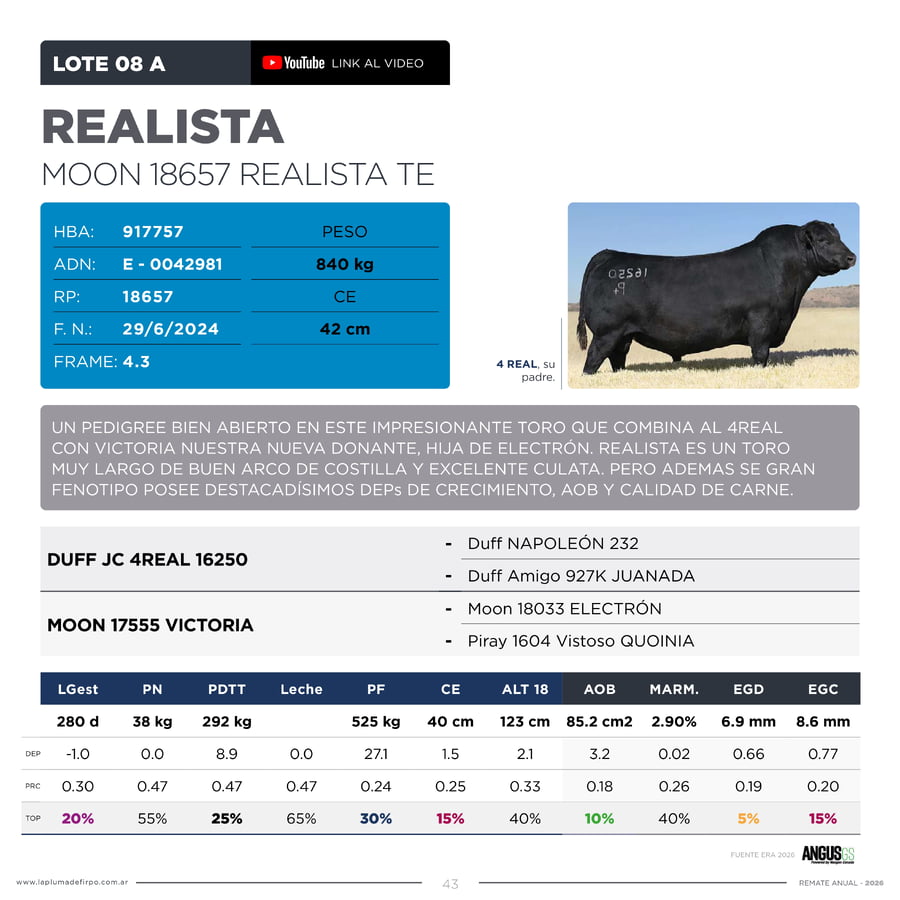 Lote RP 18657 Y 18653 - Toro PP