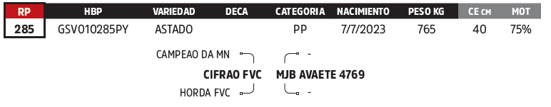 Lote LOTE 26