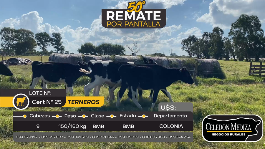 Lote 9 Terneros en Tarariras, Colonia