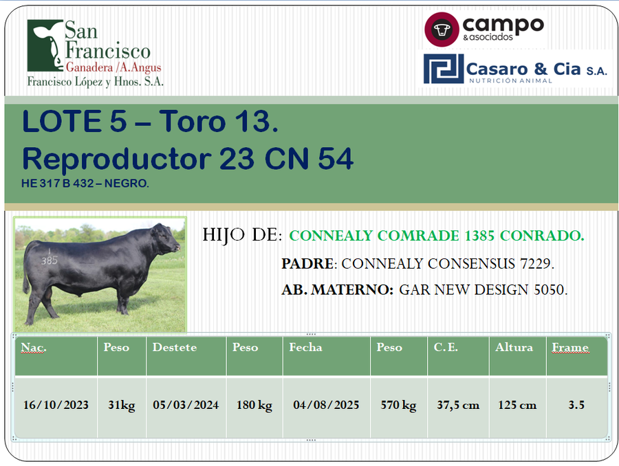 Lote TOROS ANGUS PC. San Francisco