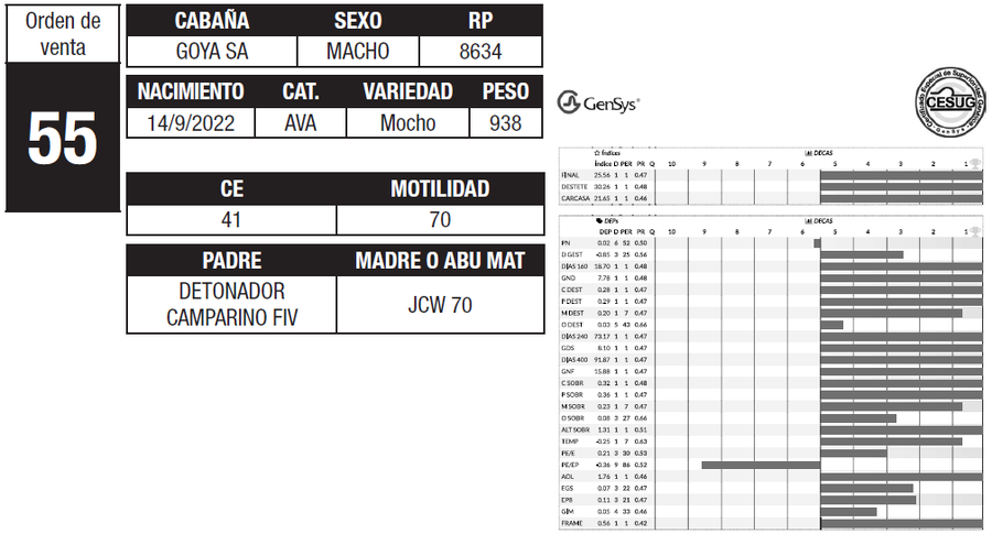Lote LOTE 55