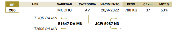 Lote LOTE 10