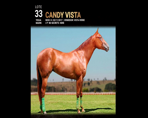 Lote CANDY VISTA