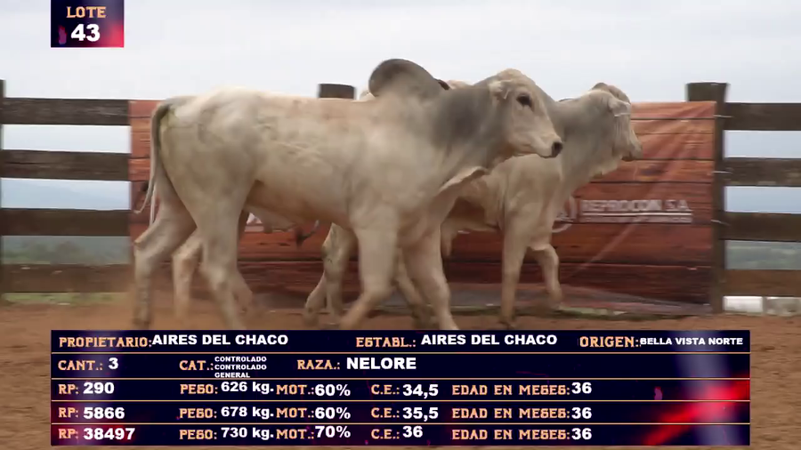Lote AIRES DEL CHACO SA- LOTE 43