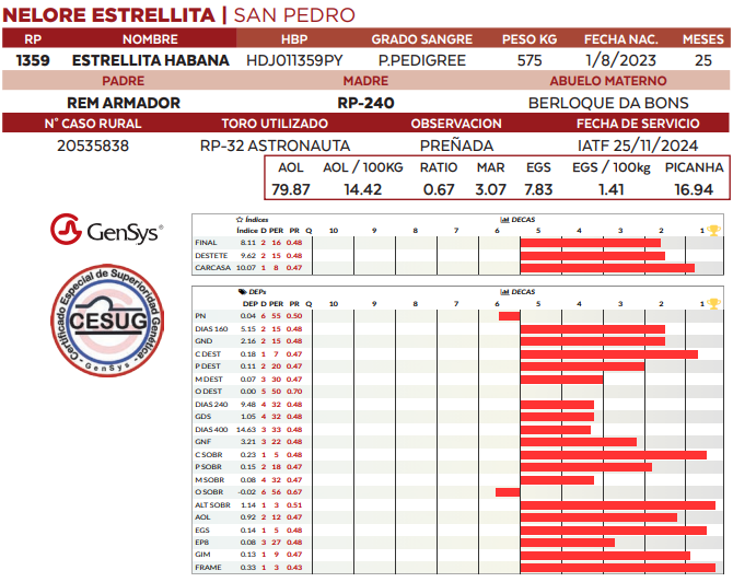 Lote LOTE 26
