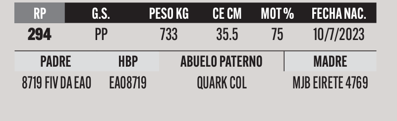 Lote LOTE 13