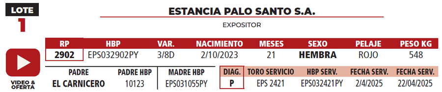 Lote LOTE 1