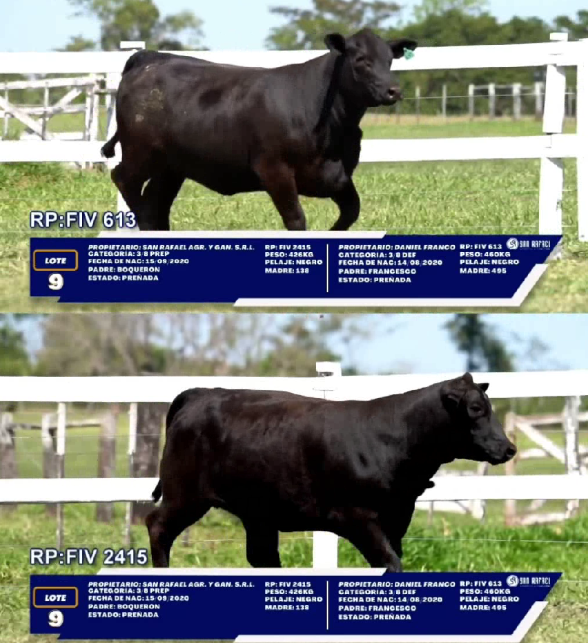 Lote LOTE 9 - DUO