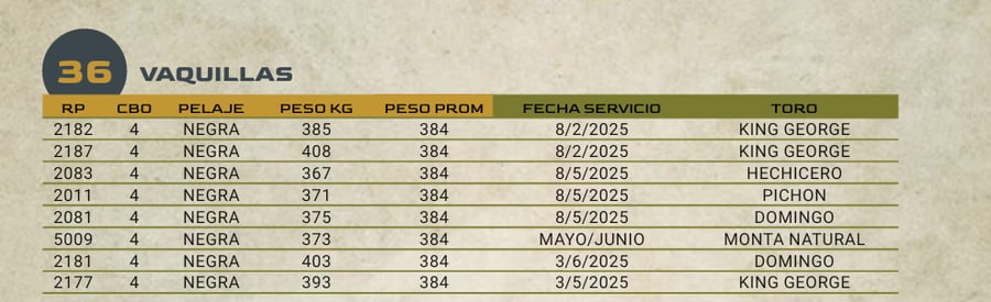Lote LOTE 36
