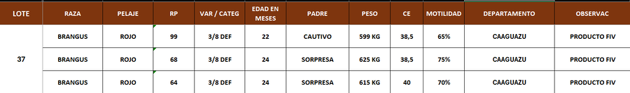 Lote LOTE 37