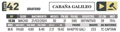 Lote LOTE 42