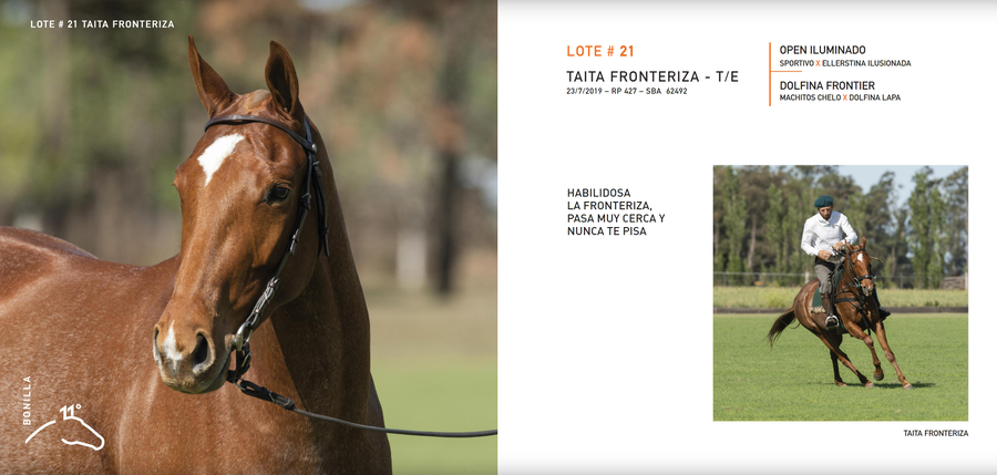 Lote TAITA FRONTERIZA - T/E (OPEN ILUMINADO - DOLFINA FRONTIER)