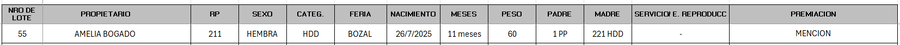 Lote LOTE 55 - BOZAL