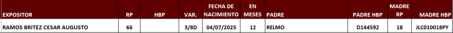 Lote LOTE 21