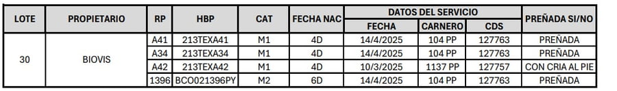 Lote LOTE 30
