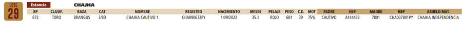 Lote LOTE 29