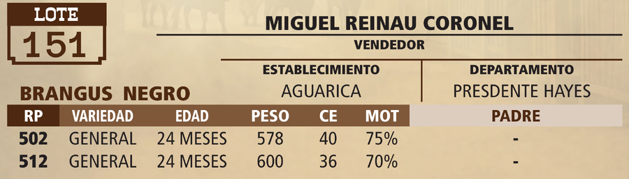 Lote LOTE 151 - PANTALLA
