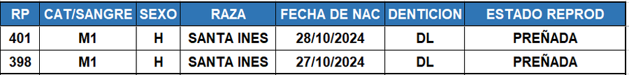 Lote LOTE 60