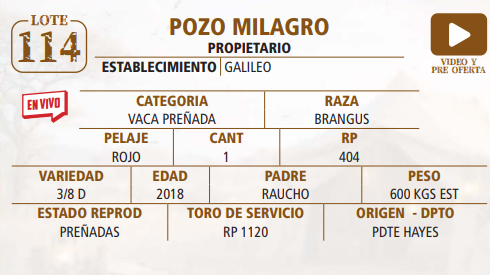 Lote LOTE 114 -EN VIVO