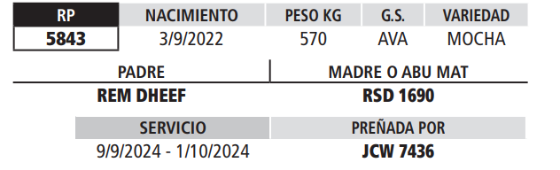 Lote LOTE 19