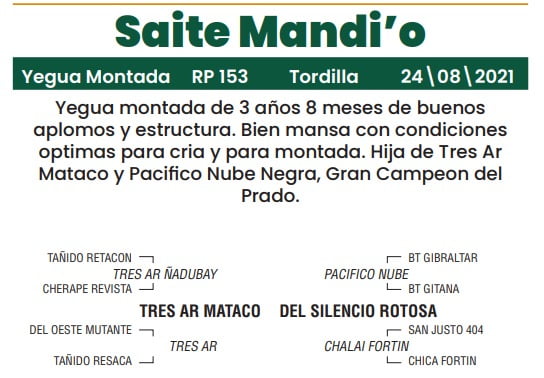 Lote LOTE 4