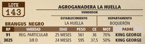 Lote LOTE 143 - VIVO