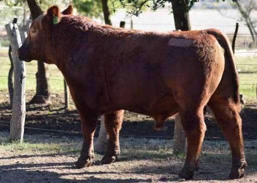 Lote CABAÑA "COEMBOTA" DE CALDERÓN RP 174