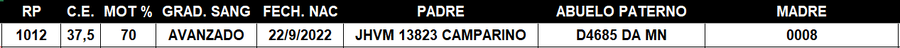 Lote LOTE 54
