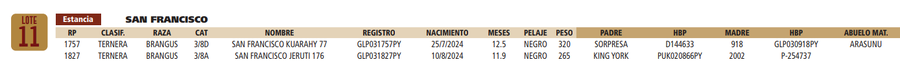 Lote LOTE 11
