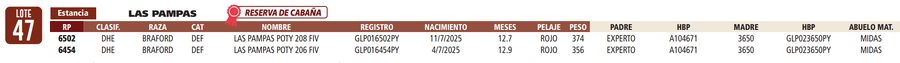 Lote LOTE 47- RESERVA DE CABAÑA