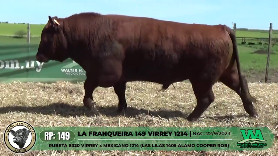 Lote LA FRANQUEIRA 149 VIRREY 1214