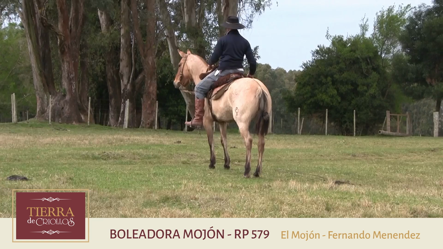 Lote Boleadora Mojón (RP 579) - Cabaña "El Mojón”