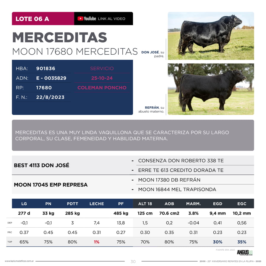 Lote RP 17680 y RP 17706 - VAQUILLONAS ELECCIÓN PP