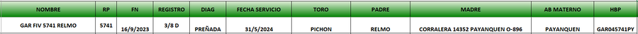 Lote LOTE 10