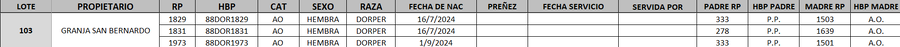 Lote LOTE 103- DESTACADO