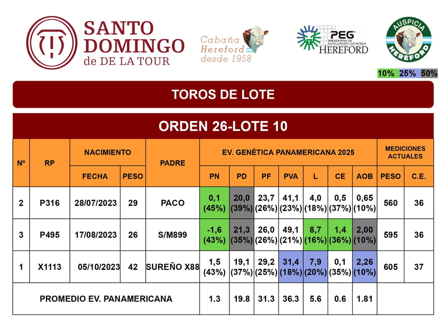Lote Toros de Lote