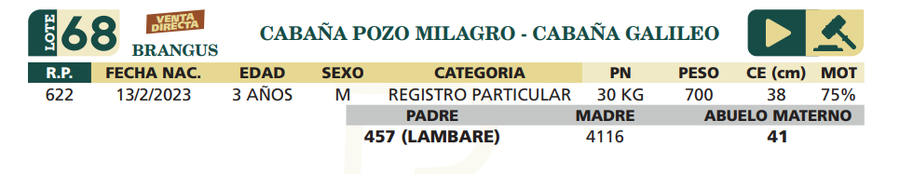Lote LOTE 68