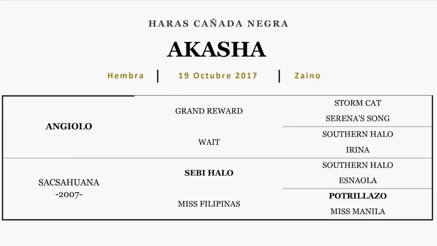Lote AKASHA (ANGIOLO - SACSAHUANA)