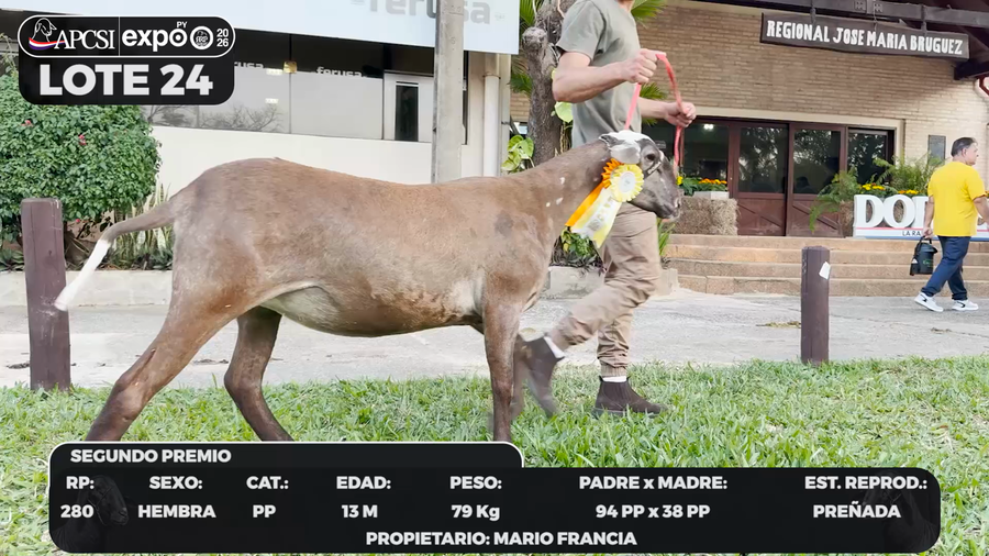 Lote LOTE 24 - BOZAL