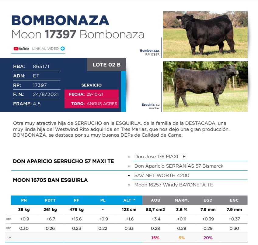 Lote Eleccion de una Vaquillona PP