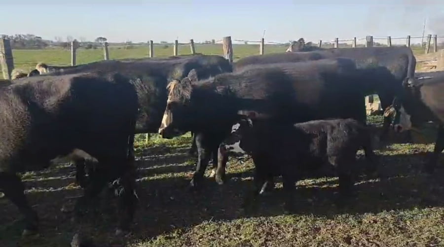 Lote Estancia Don Oscar