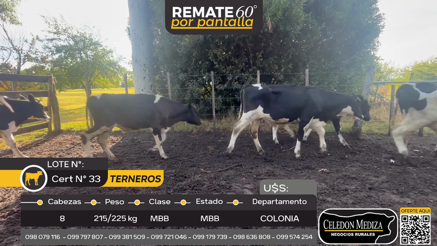 Lote 8 Terneros en Tarariras, Colonia