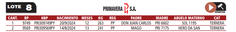 Lote LOTE 8