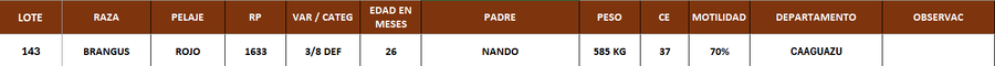Lote LOTE 143