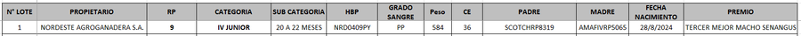 Lote LOTE 1