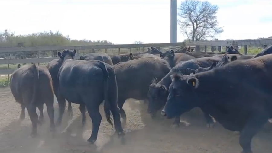 Lote Estancia Magnin