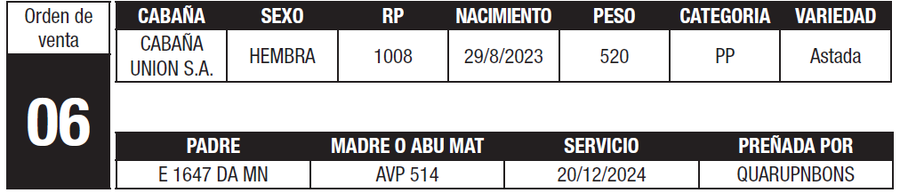 Lote LOTE 6