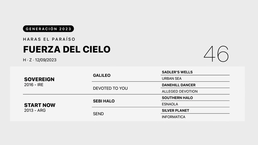 Lote FUERZA DEL CIELO